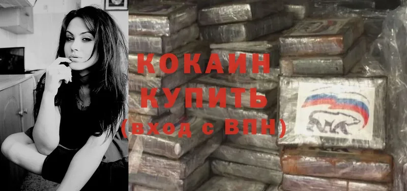 закладка  Серов  omg ТОР  Кокаин Fish Scale 